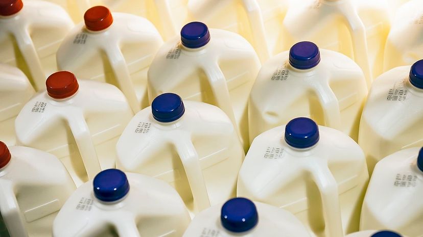 Drinking an entire gallon of milk in one sitting is a challenge often undertaken, infrequently accomplished. Why is that? John Greim/LightRocket/Getty Images