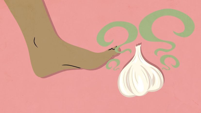 Foot and garlic illustration