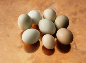 Taking the proper precautions when handling and cooking eggs is important for avoiding illness.