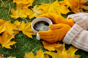 woman hands hold a cup of coffee next to yellow maple leaves on a green grass