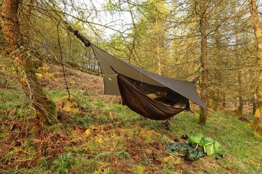 Hammock on a hillside in the forest, English Lake District