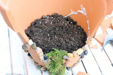 potting soil in pot