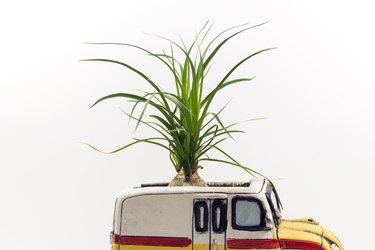 Flowerpot shaped vehicle