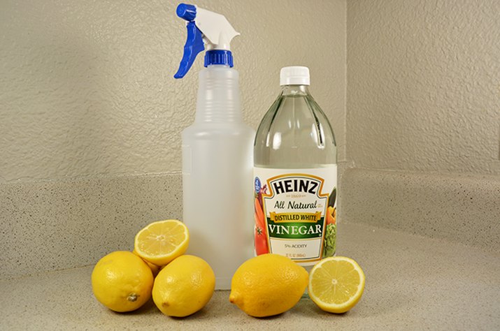 An image of cleaning products on the counter.