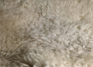 Sheepskin rug detail