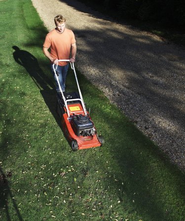 Young man mowing lawn, elevated view