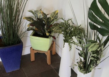 Artificial plants in containers in home.