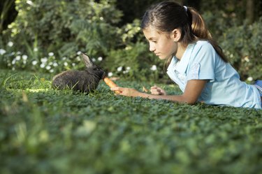 Girl (10-11) lying down on grass, feeding rabbit with carrot, side view