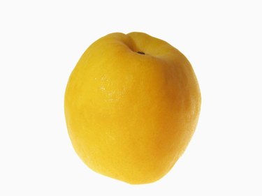 Close-up of an apricot