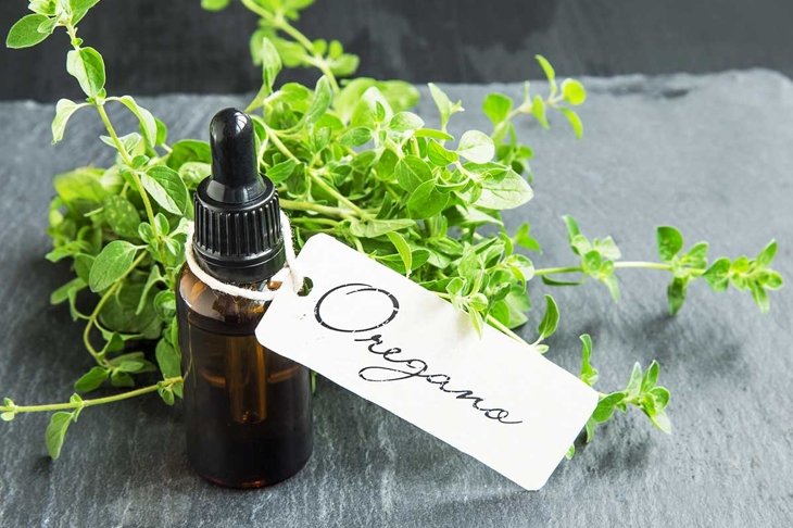 Oregano oil bottle with label and oregano herb bunch