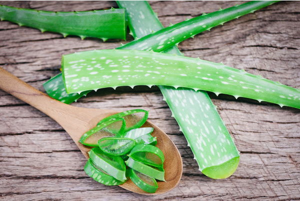 10 Aloe Vera Hair Masks | If you're looking for a deep conditioner for your hair, we're sharing our favorite DIY and store bought aloe vera masks! Whether you need help with hair growth, for dandruff, for dry scalp, for dry hair, for oily hair, for frizzy hair, or to prevent hair breakage, these hair masks will help. Using ingredients you already have on hand, like egg and coconut oil, honey and ACV, these homemade hair masks will make your locks look fresh, moisturized, and gorgeous!