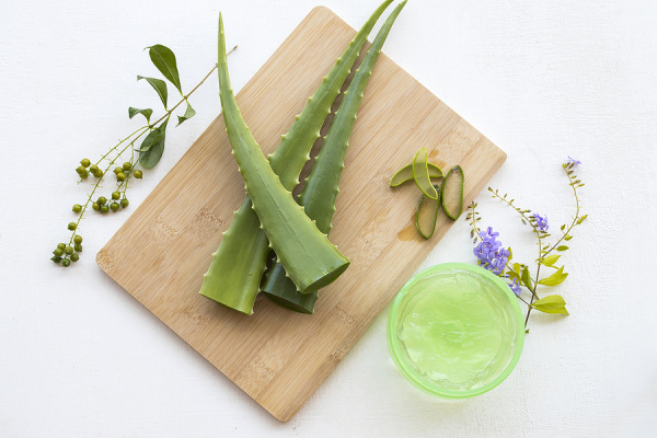 8 Aloe Vera Face Masks For a Clear Complexion | Aloe vera contains antioxidants and vitamins A and C, and it's highly anti-inflammatory, making it a great natural remedy for sunburns, acne, skin irritation and inflammation, and it's great for wrinkles and can help you look younger as it slows signs of ageing. Whether you want to know how to make DIY aloe vera face masks or prefer store bought products, this post has easy recipes and recommendations to help!